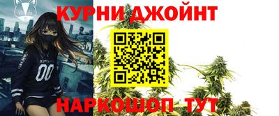 гидропоника Гатчина