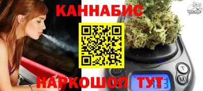 спиды Гай