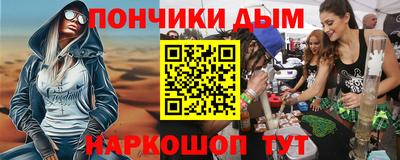 спиды Гай