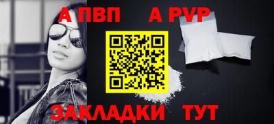 спиды Гай