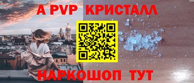 спиды Гай