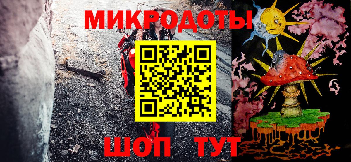 Горно-Алтайск  Псилоцибиновые грибы прущие грибы  Вход с VPN 